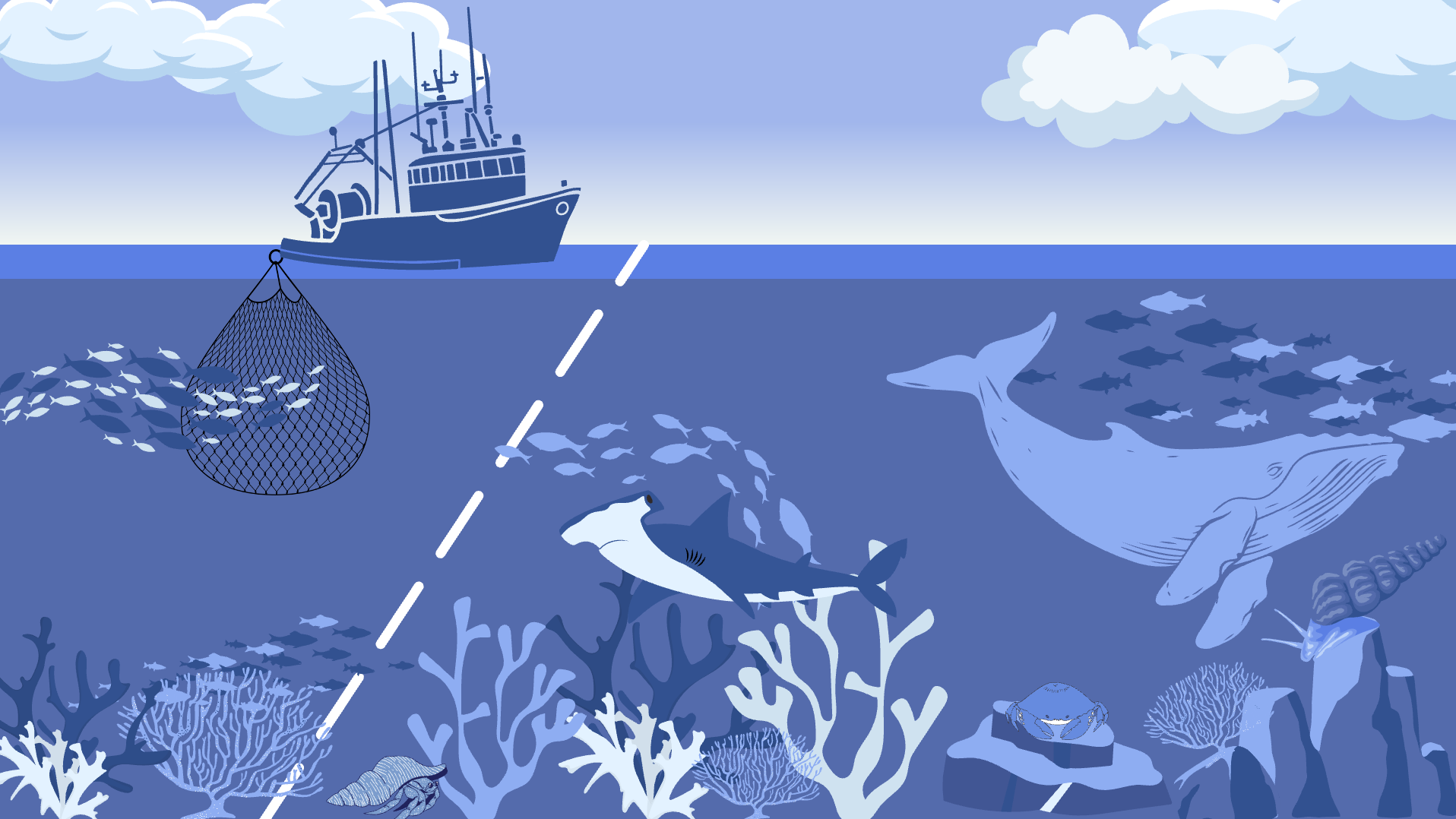 Marine Protected Area — science communication illustration