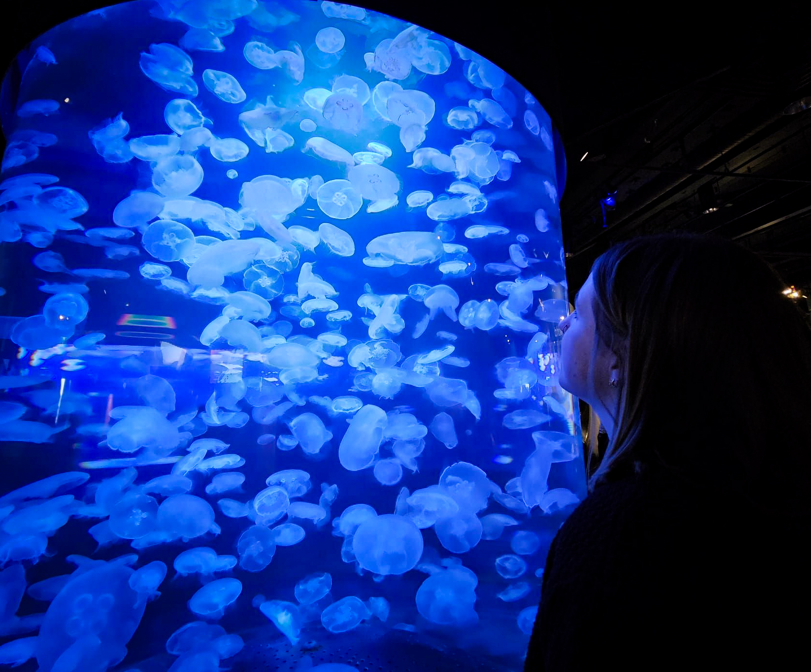 Megan Davies at a jellyfish tank