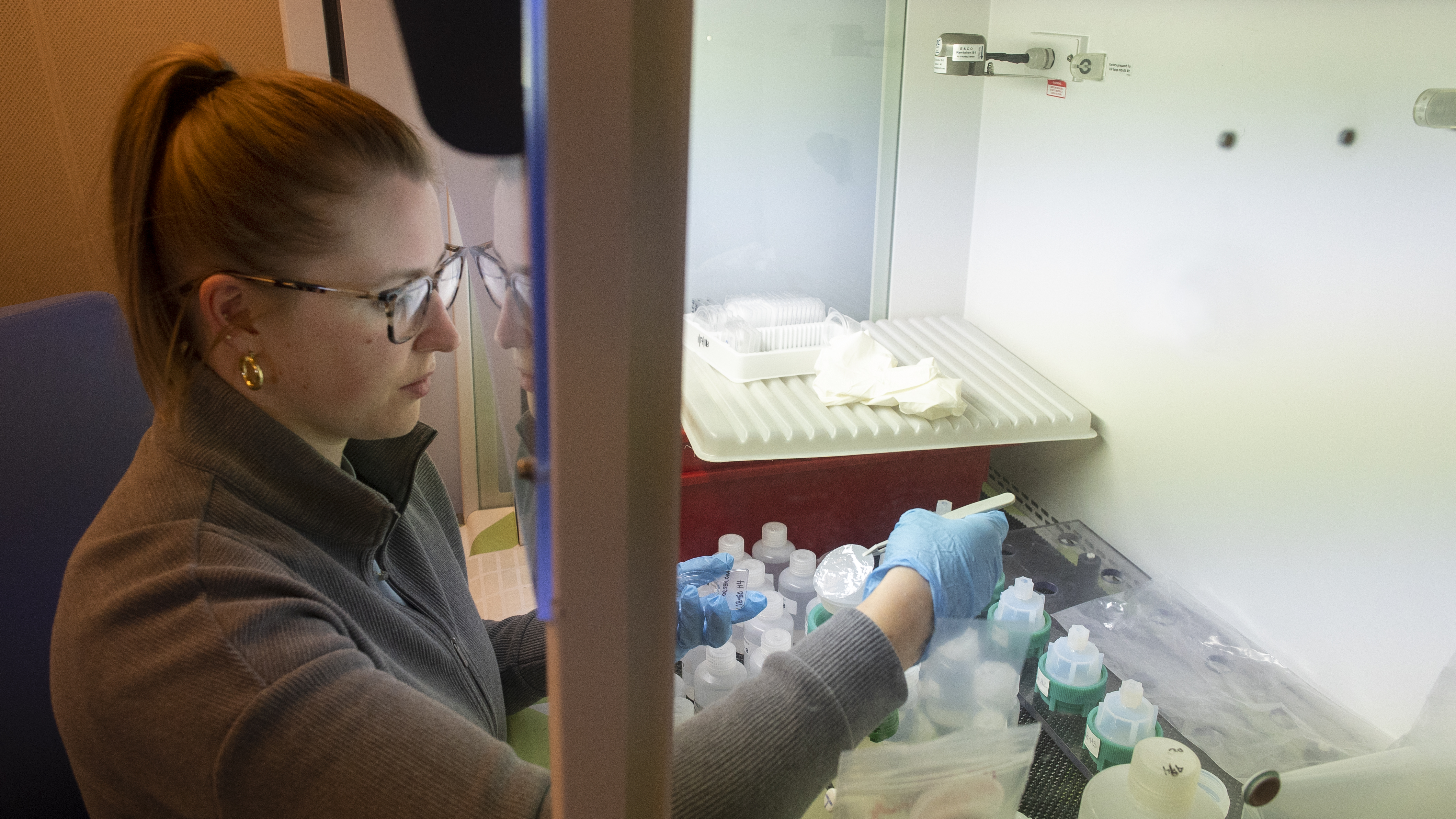 Filter work in the lab