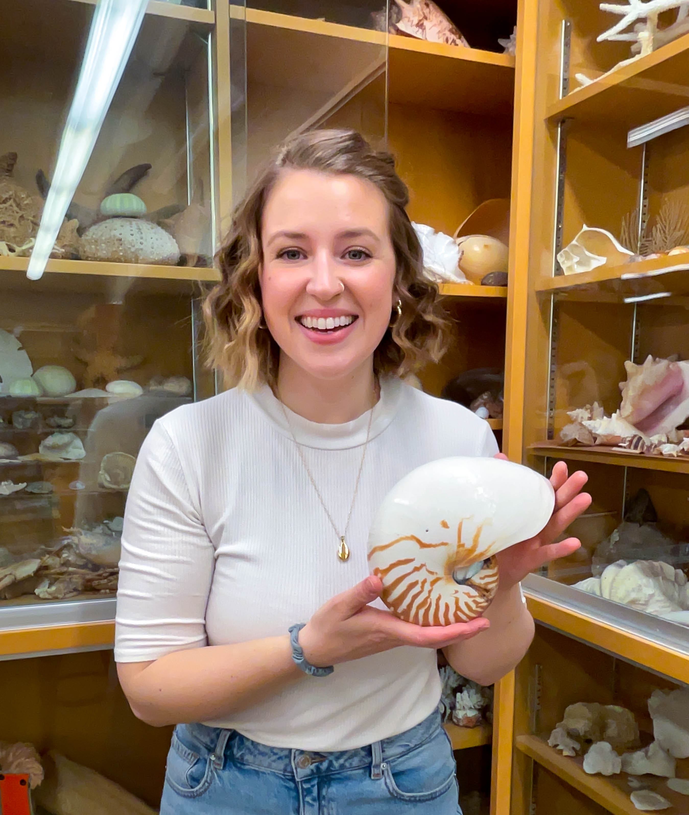 Teaching with nautilus shell — UVic specimen collection